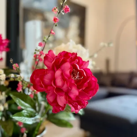 Апартаменты Superbe - Centre -proche Palais Des Festivals Et Plages